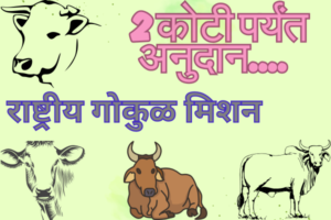 राष्ट्रीय गोकुळ मिशन