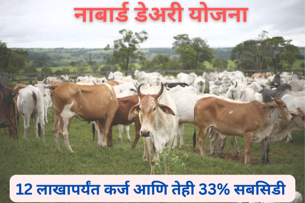 Nabard Dairy Yojana update 2025