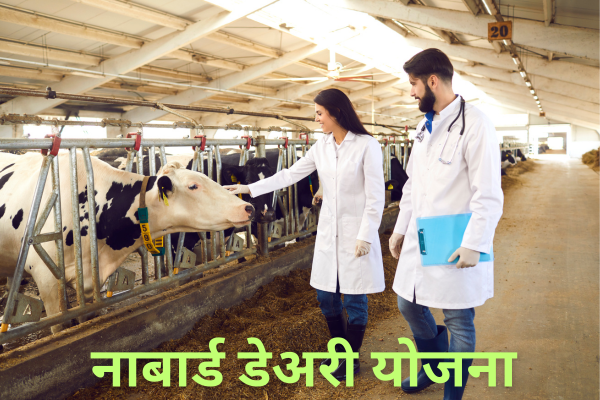 Nabard Dairy Yojana update 2025